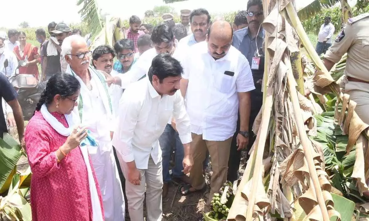 Housing minister Jogi Ramesh interacts with farmers in Thotlavallur mandal of Krishna district on Saturday. He visited the mandal to assess the crop damage caused by cyclone Asani.