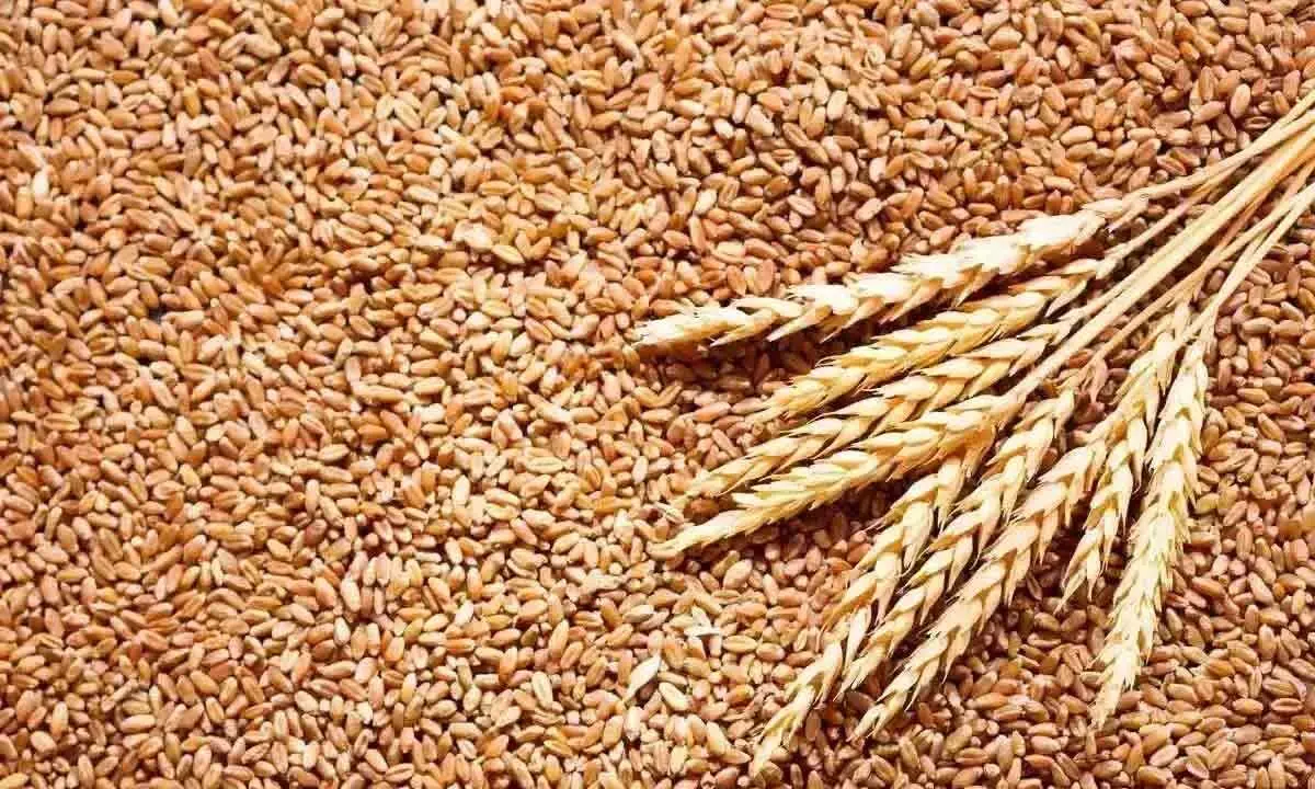Can Russia-Ukraine war make India a key wheat exporter?