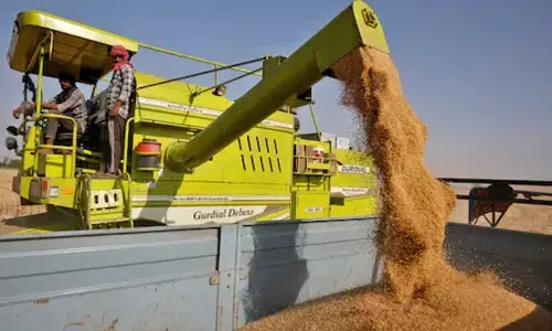 India bans wheat exports with immediate effect