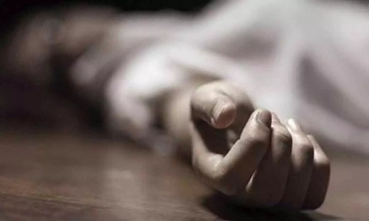 Probe to unravel cause of SIs suicide