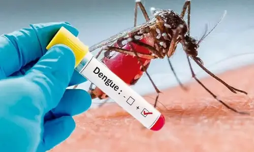 Sudden surge in dengue cases in Bengaluru, say doctors