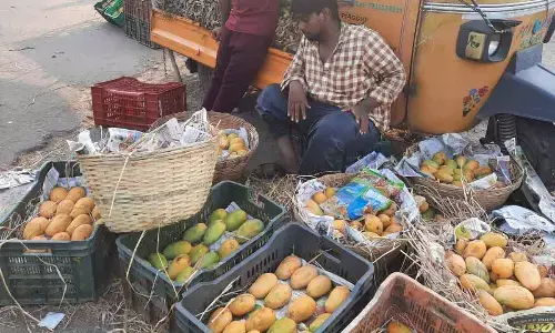 Vijayawada: High prices turn mangoes sour