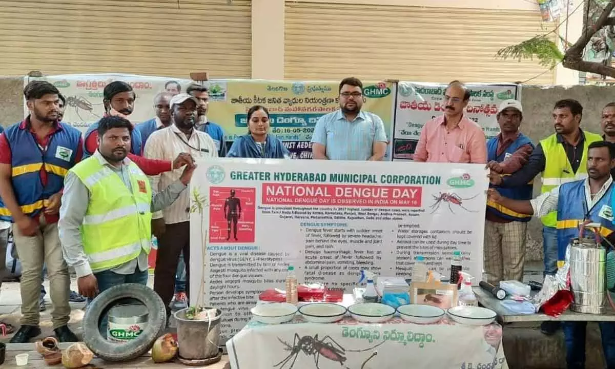 GHMC out to swat dengue spread