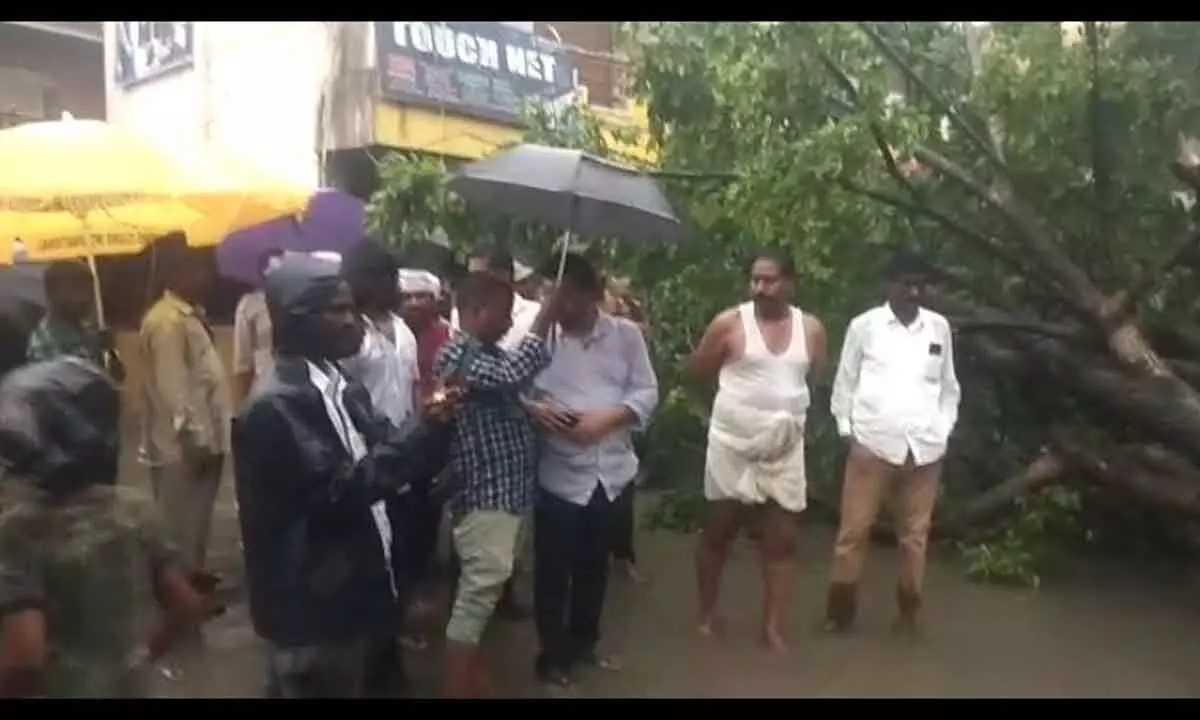 A giant tree fell due to heavy downpour in front of PES Health Centre near Kuppam bus stand on Monday.