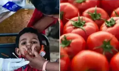 Tomato fever is not life threatening, but it is very contagious, safe distance from the affected must be maintained