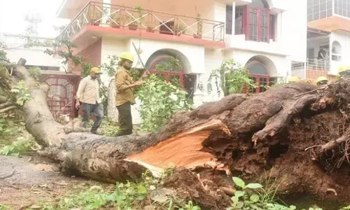 Rain lashes Mysuru, Chamarajanagara
