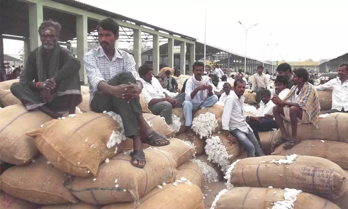 File photo of cotton at Enumamula Agriculture Market Yard in Warangal