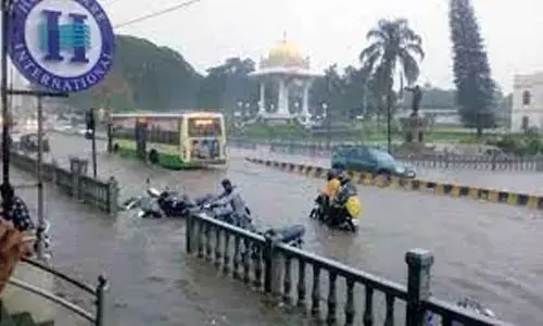 Bridge washed away, trees uprooted in Mysuru