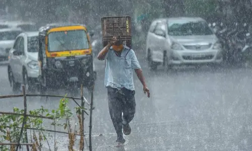 For representational purpose