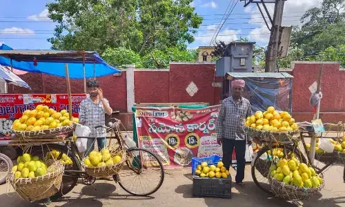 Mango ripening chemicals pose health hazards