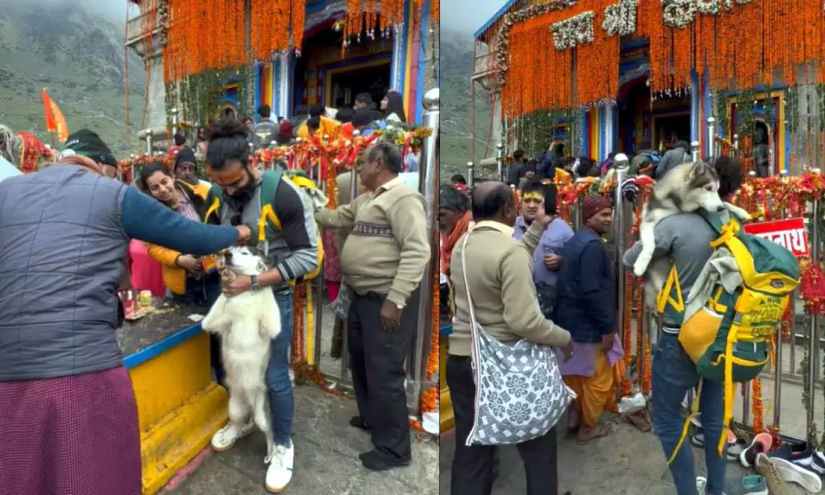 Watch The Trending Video Of The Vlogger Taking His Dog To Kedarnath