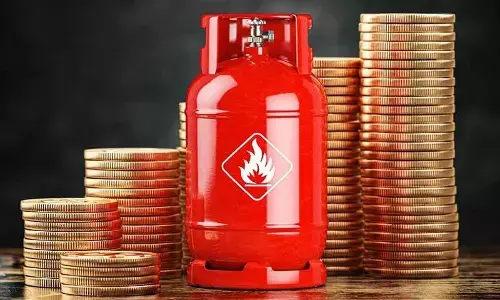 For representational purpose only