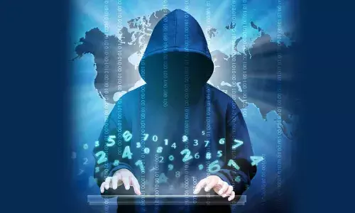 The real game of fake accounts