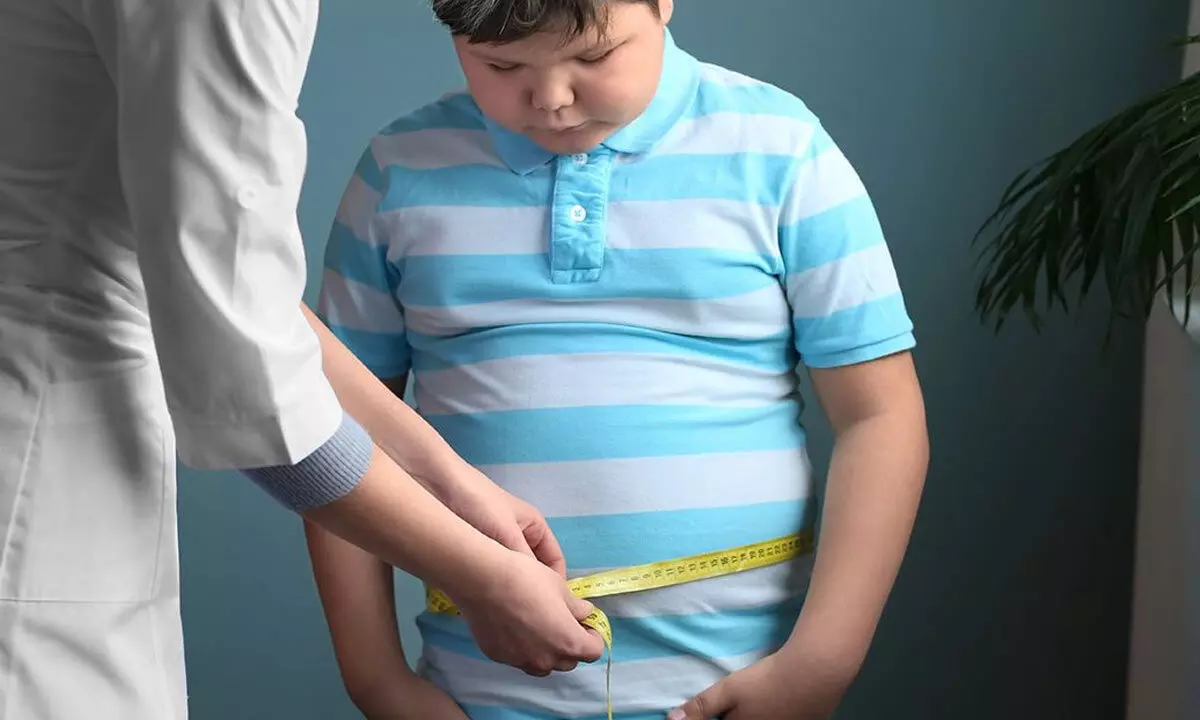 Understanding the factors leading to childhood obesity