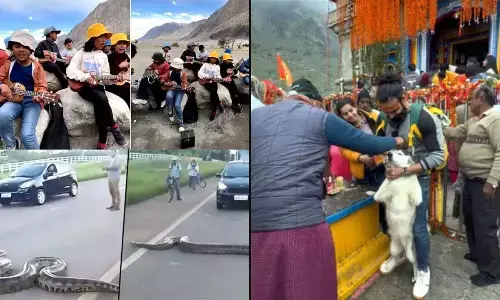 Top Trending Videos Of The Week