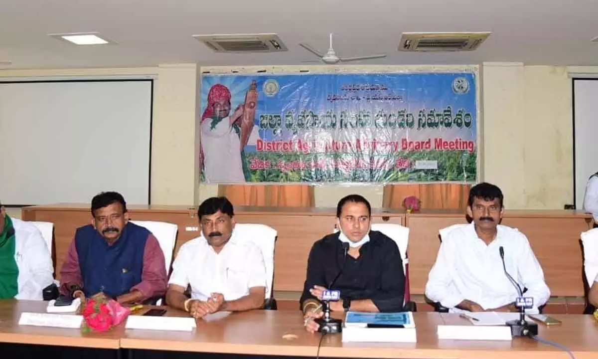 YSR District Collector V Vijaya Rama Raju addressing the DAAC meeting in Kadapa on Saturday.