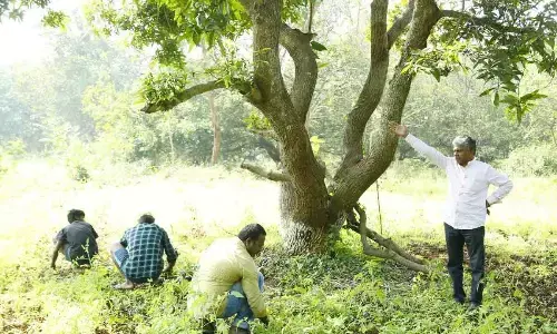 Man behind many successful events