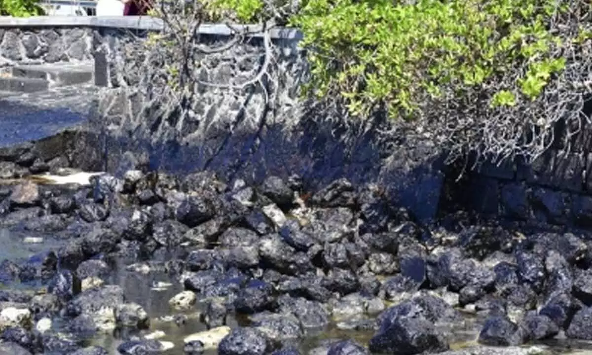 Mexican scientists develop new technology to clean up oil spills