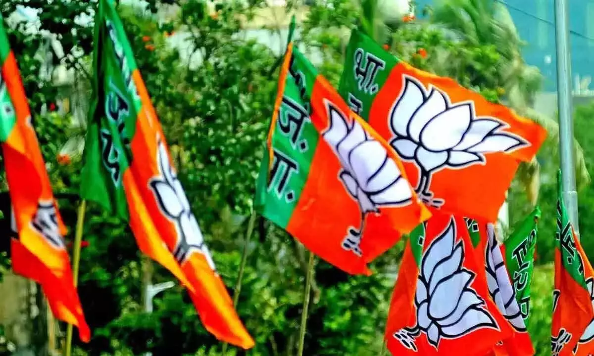 BJP netas fret over dissidence among party cadres