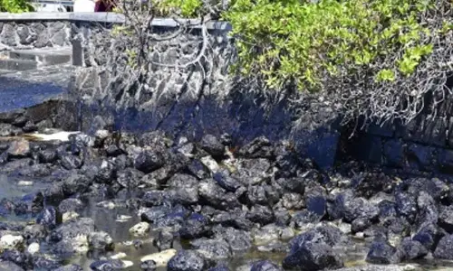 Mexican scientists develop new technology to clean up oil spills