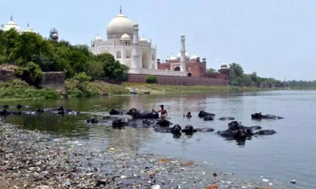 Has Agra lost the battle against pollution?