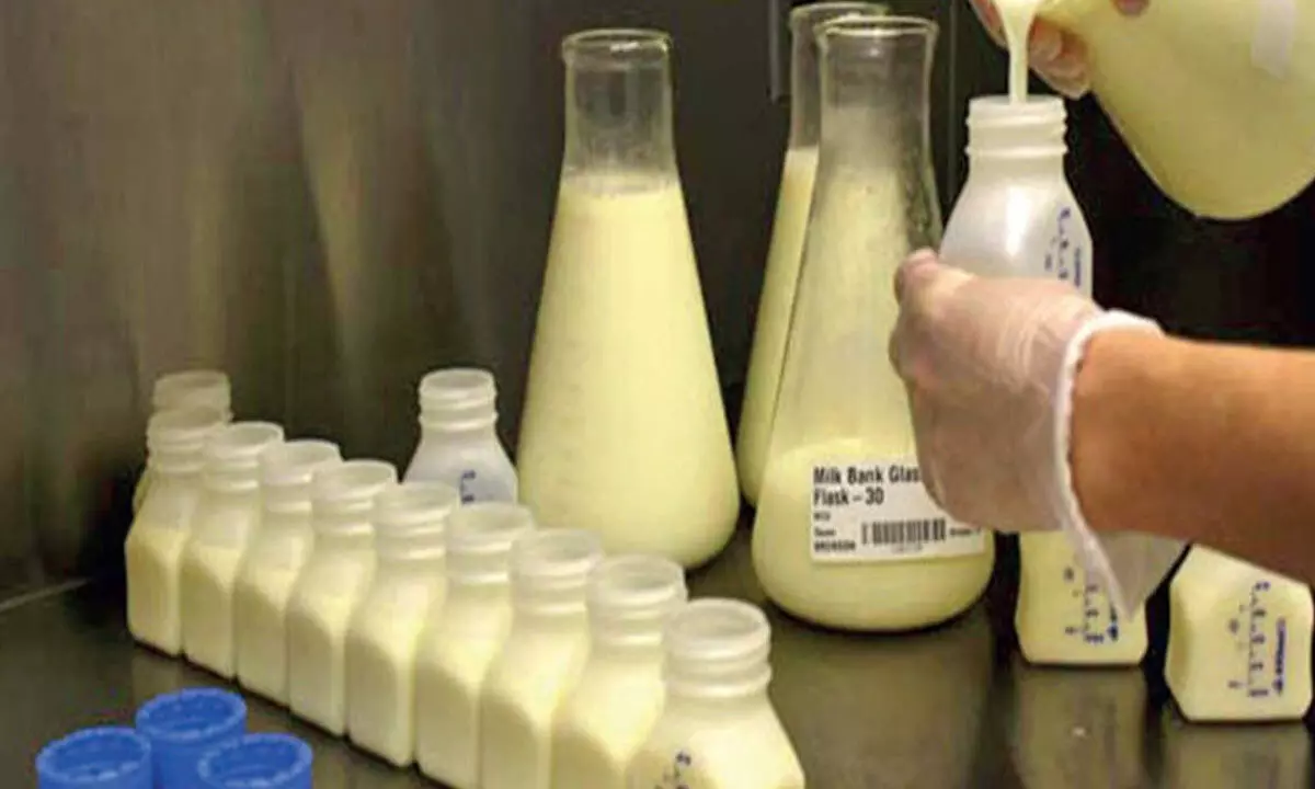 Donor shortage plagues breast milk bank