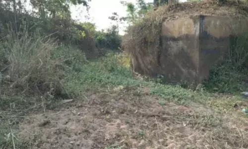 Farmers fret over neglect of Vamsadhara canals