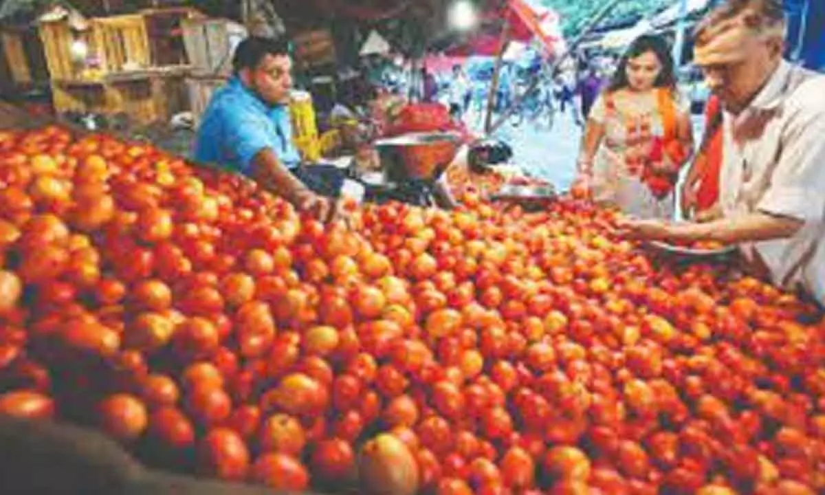 Recipes diluted as tomatoes cost Rs 100/kg