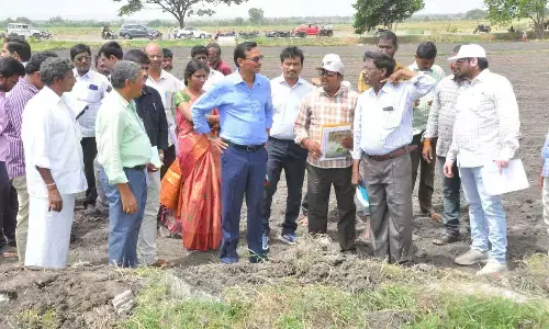 District Collector P Koteshwara Rao inspecting the NREGS works at Vemugodu village in Gonegandla mandal on Wednesday.