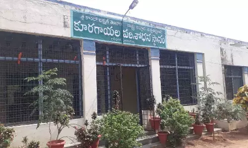 Rooftop gardening gets a boost with veggie seed kits from VRS