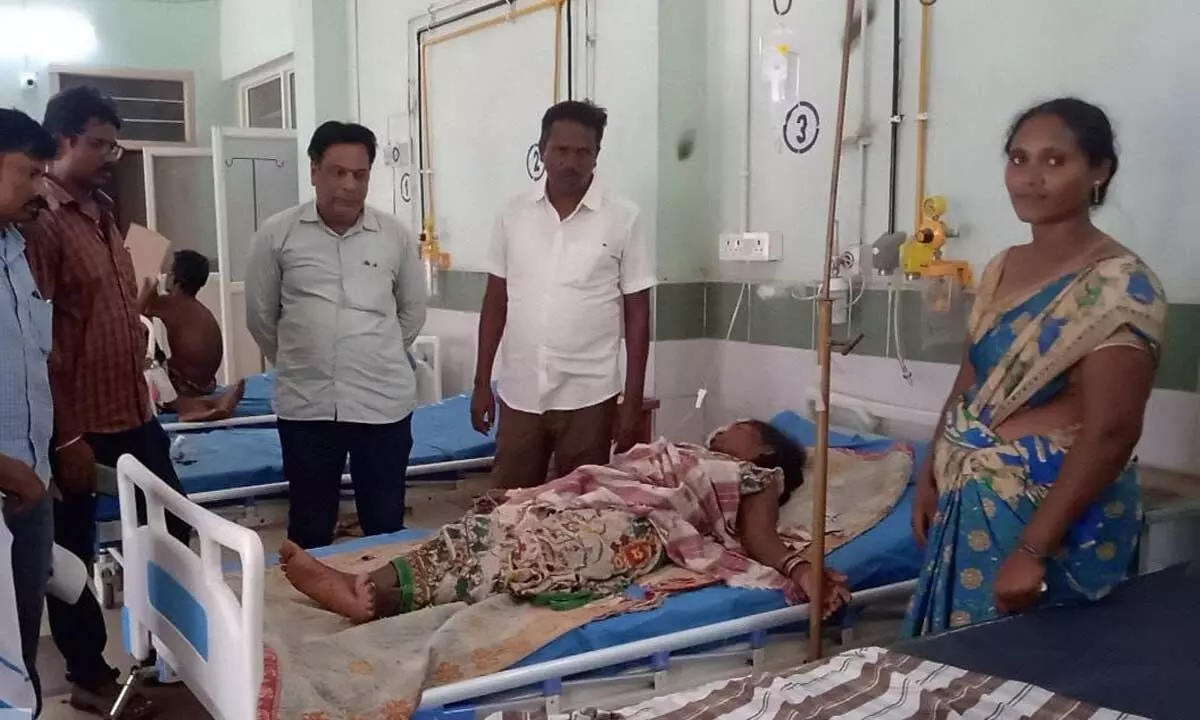 Workers attacked by honeybees admitted at Palakonda area hospital