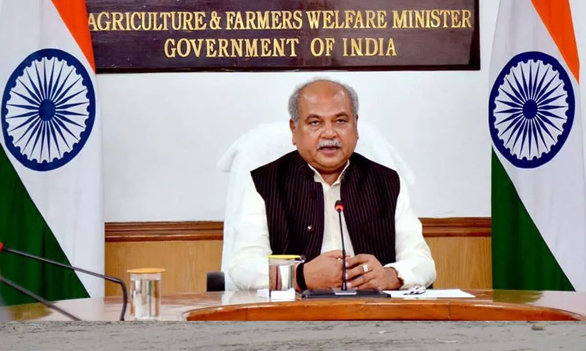 Union Minister for Agriculture Narendra Tomar