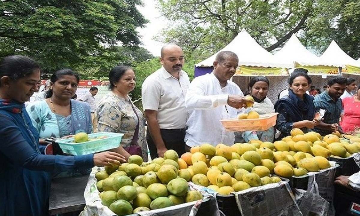 Threeday mango mela begins in cultural city