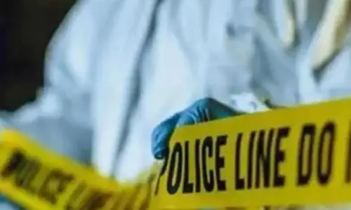 For representational purpose