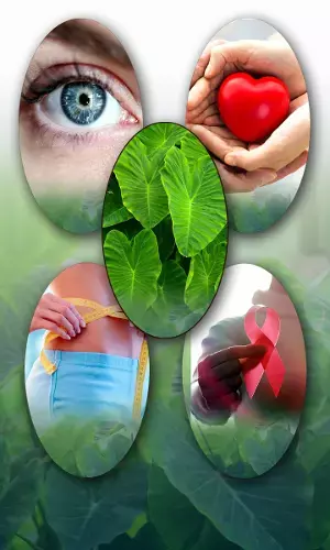 Benefits of Arbi Leaves or Taro Leaves or Colocasia leaves