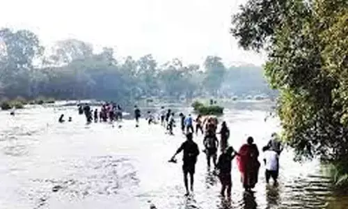 Hanging bridge proposal to Dubare elephant camp hangs fire