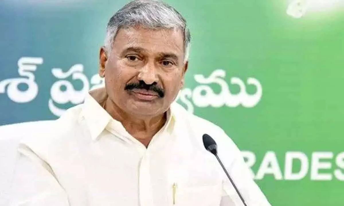 Andhra Pradesh Power Minister Peddireddy Ramachandra Reddy