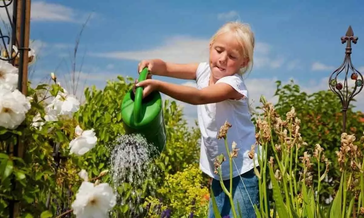 National Water a Flower Day