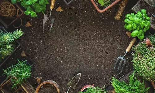 For representational purpose only