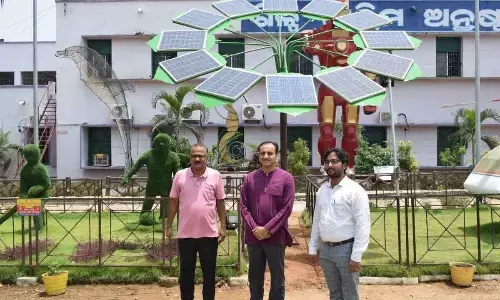 ITI students design solar tree to generate 1 kw energy