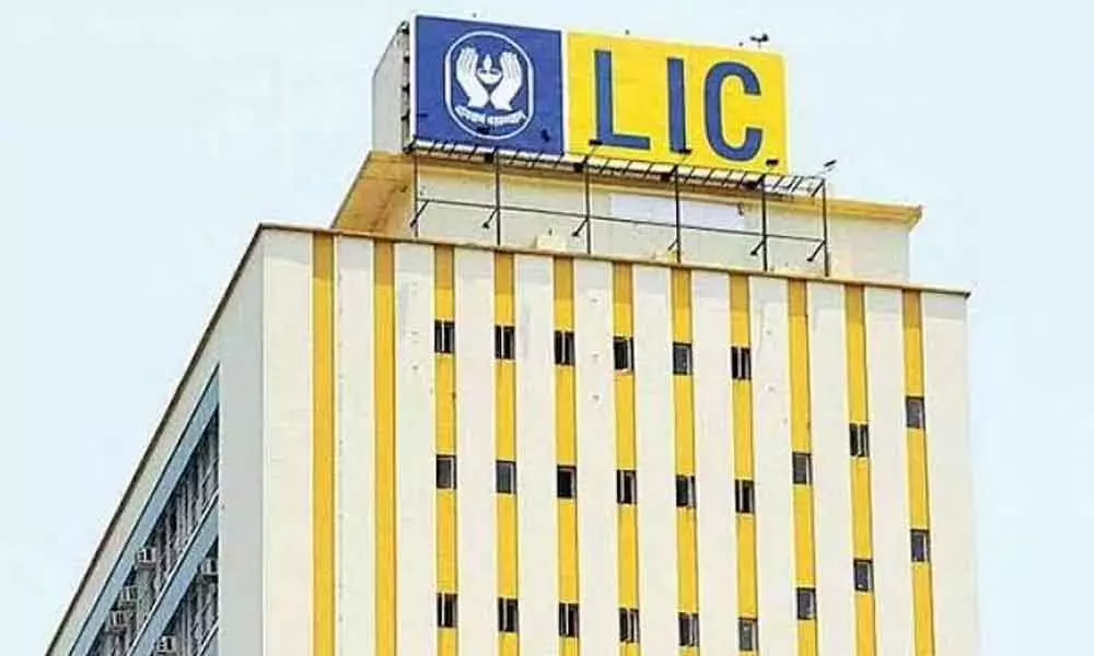 lic shares decline over 3 pc on lower earnings