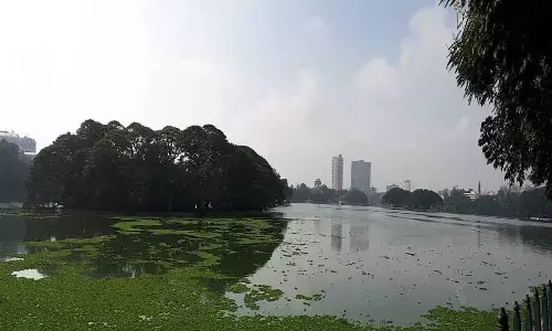 Ulsoor lake pollution