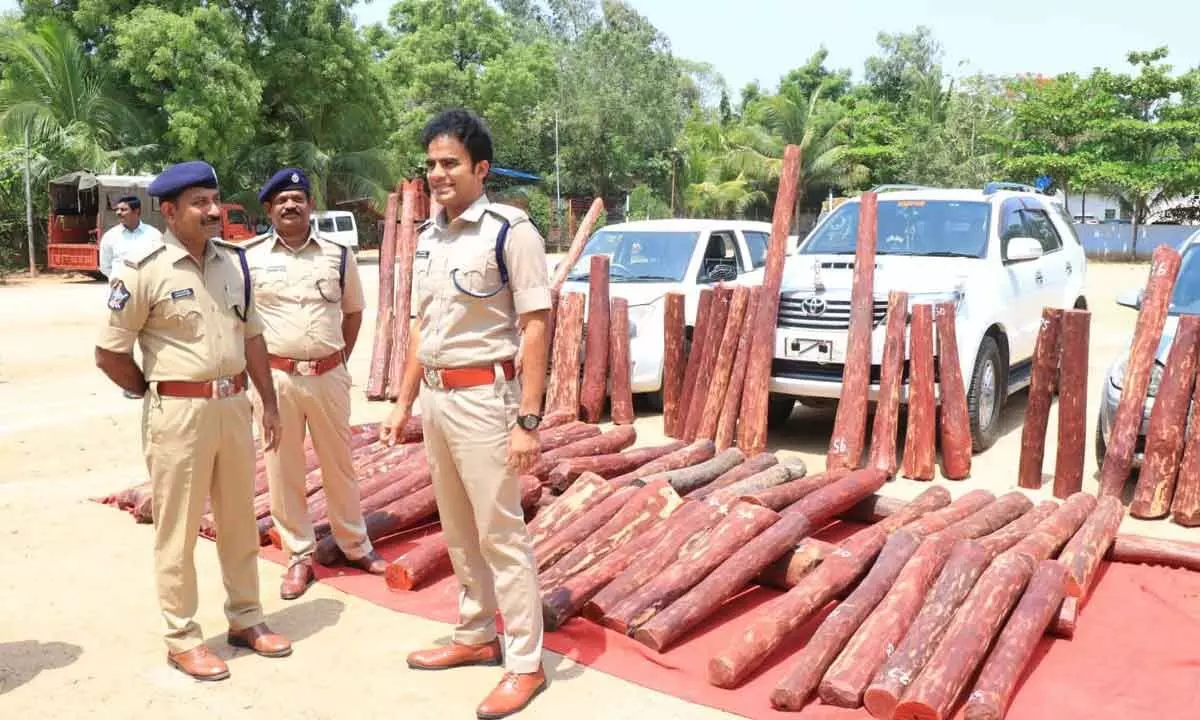Chittoor district SP Y Rishanth Reddy with the seized red sander logs in Chittoor on Wednesday