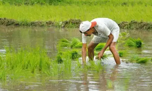 Andhra Pradesh: Ambati Rambabu releases Godavari water for Kharif season today