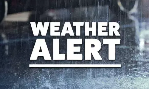 For representational purpose only