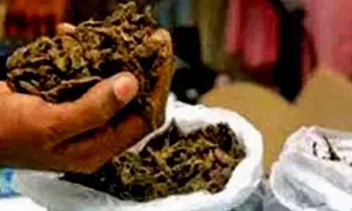 For representational purpose