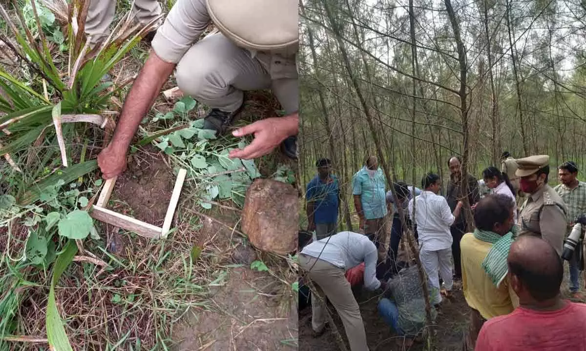 A forest official collecting pug marks of Royal Bengal Tiger in the forest area near Pandavulu Palem village
