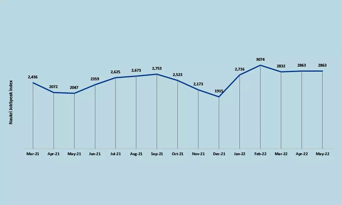 Hiring activity stays buoyant in May’22, sustains monthly run rate while beating last year by 40%: Naukri JobSpeak