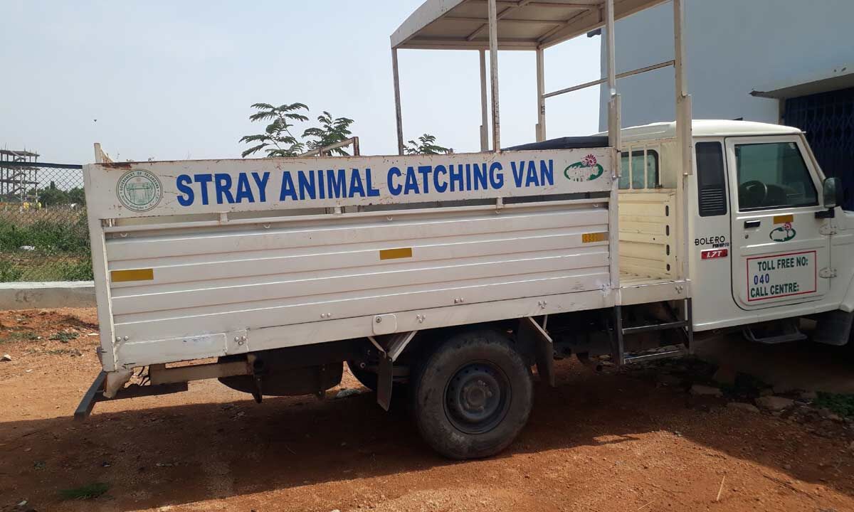 Hyderabad Badangpet gets rid of stray dog menace