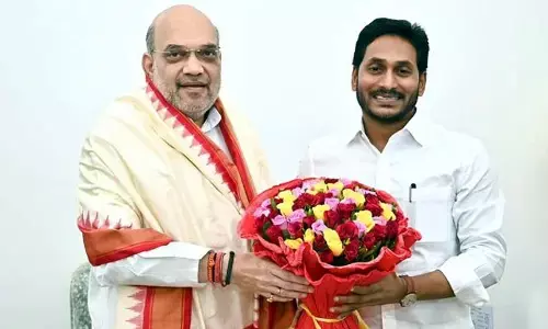 AP CM YS Jagan Mohan Reddy met Union Home Minister Amit Shah